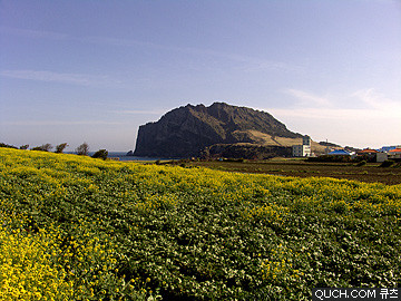 제주도 관광정보'