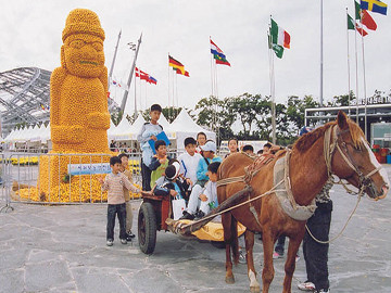 제주도 관광정보'