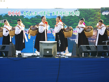 제주도 관광정보'